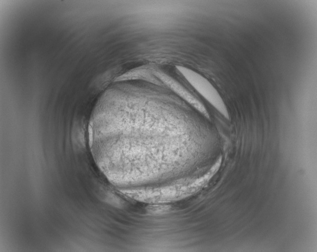 X0000066120334200603311542