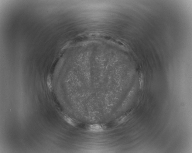 X0000066120335200603311542