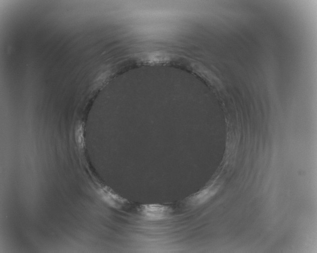 X0000066120336200603311542