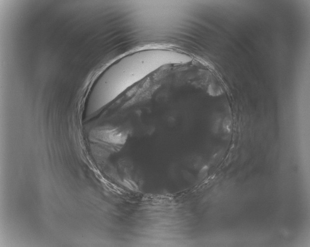 X0000066120337200603311541