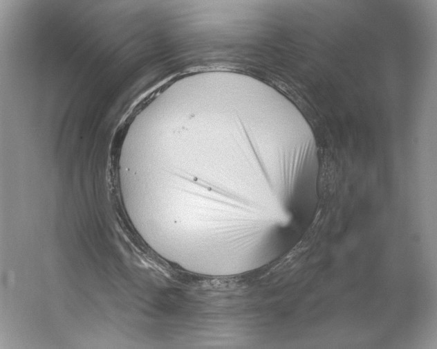 X0000066120338200603311541