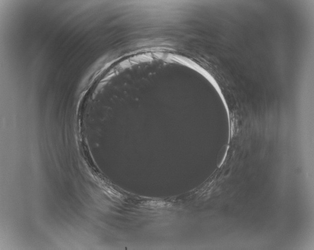 X0000066120339200603311541