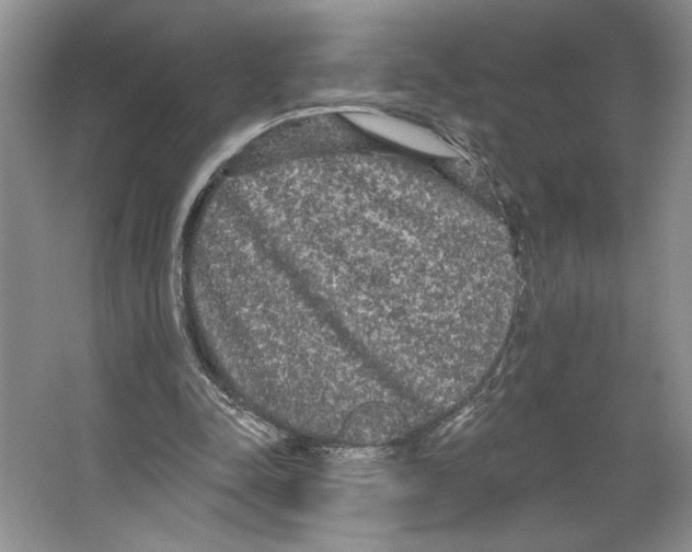 X0000066120342200603311541