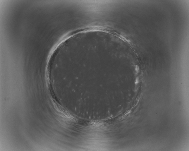 X0000066120343200603311541