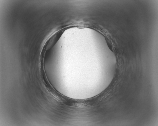 X0000066120344200603311541