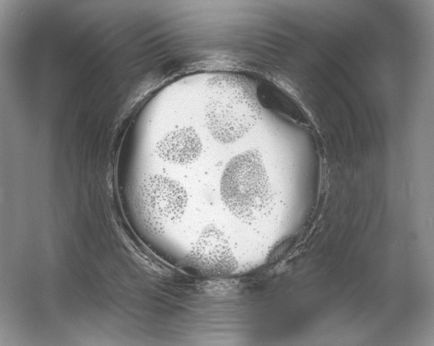 X0000066120345200603311541