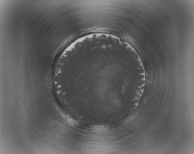 X0000066120349200603311541