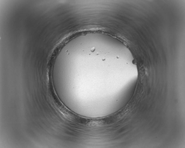 X0000066120350200603311541