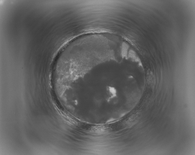 X0000066120351200603311541