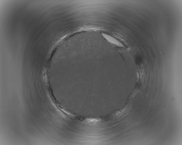 X0000066120352200603311541