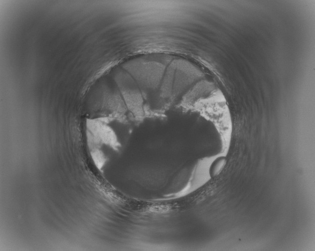 X0000066120353200603311541