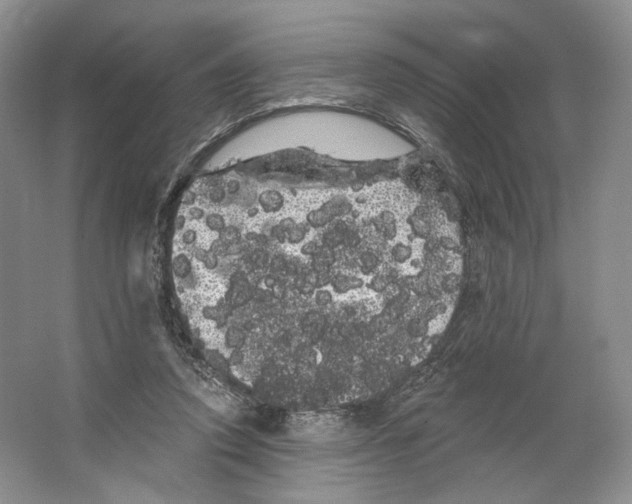 X0000066120354200603311541