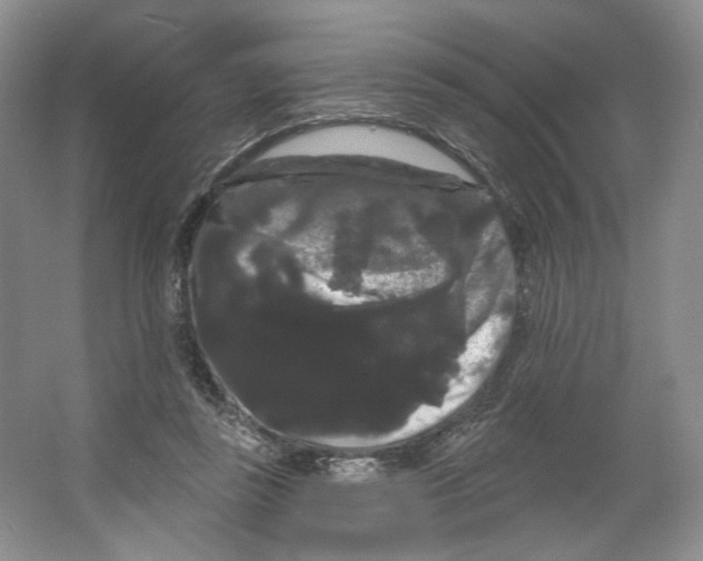 X0000066120355200603311541