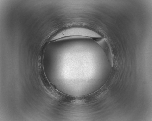 X0000066120356200603311541