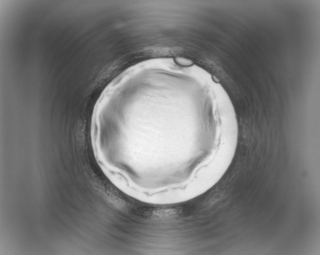 X0000066120357200603311541