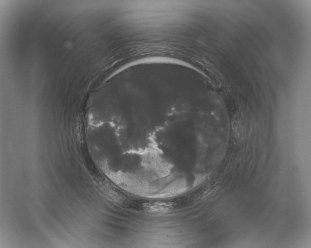 X0000066120359200603311542