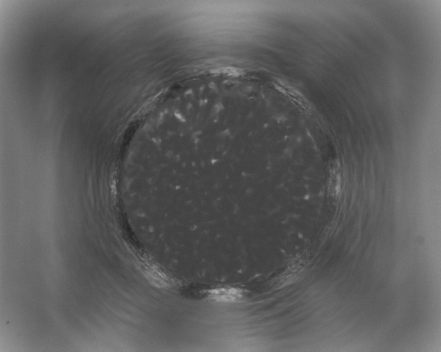 X0000066120363200603311542