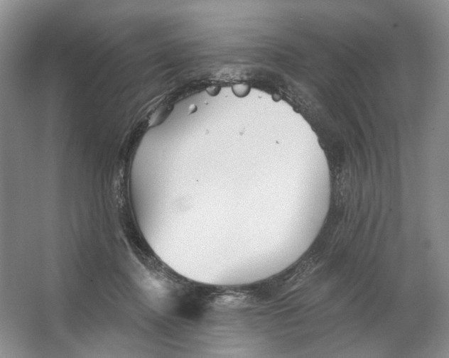 X0000066120364200603311542