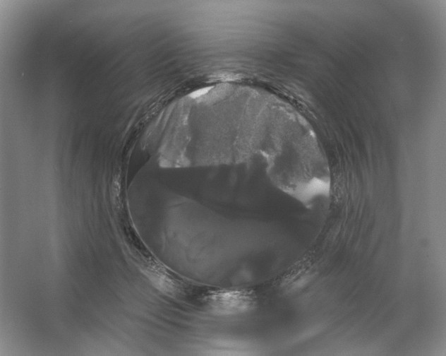 X0000066120365200603311542