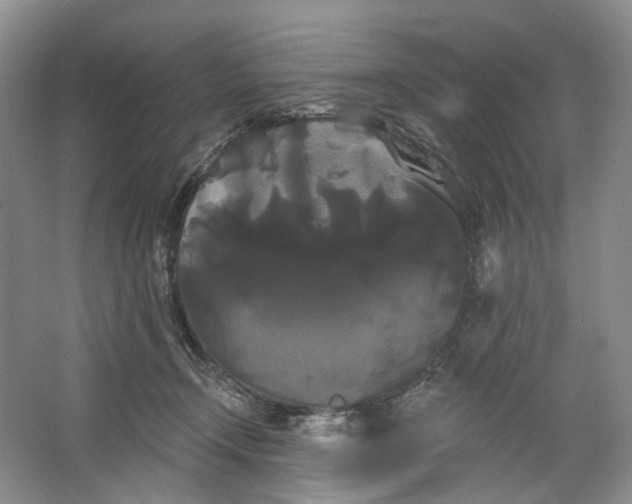 X0000066120366200603311542