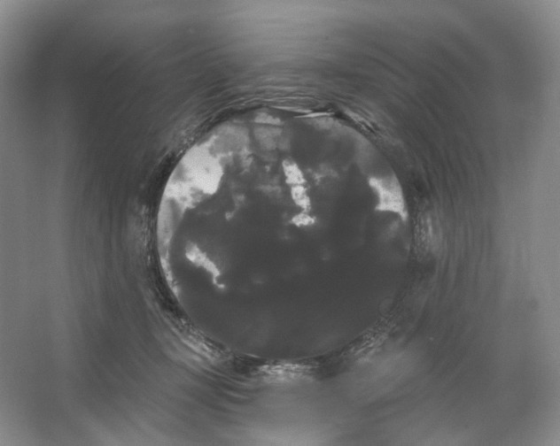 X0000066120367200603311542