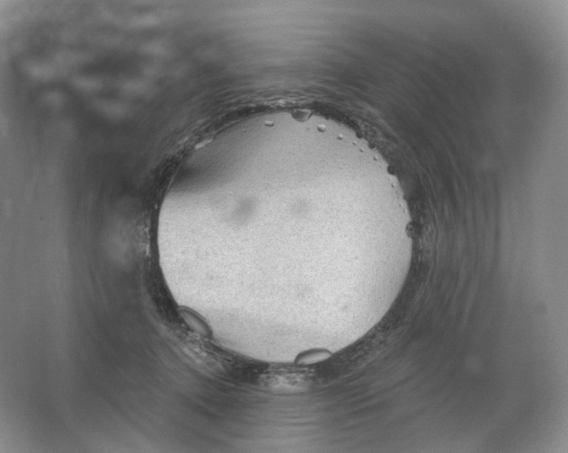 X0000066120368200603311542