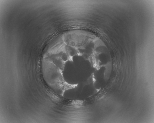 X0000066120369200603311542