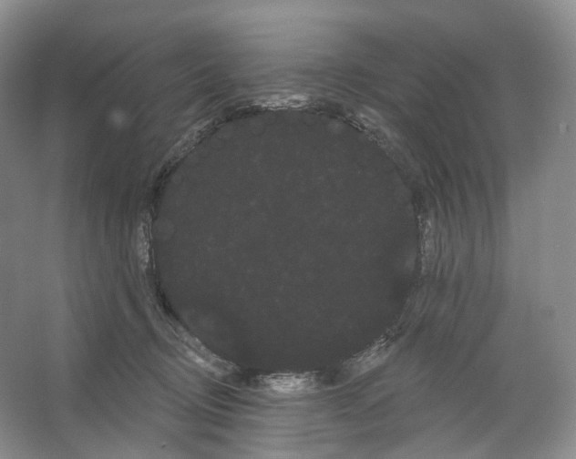 X0000066120370200603311542