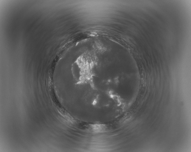 X0000066120371200603311542