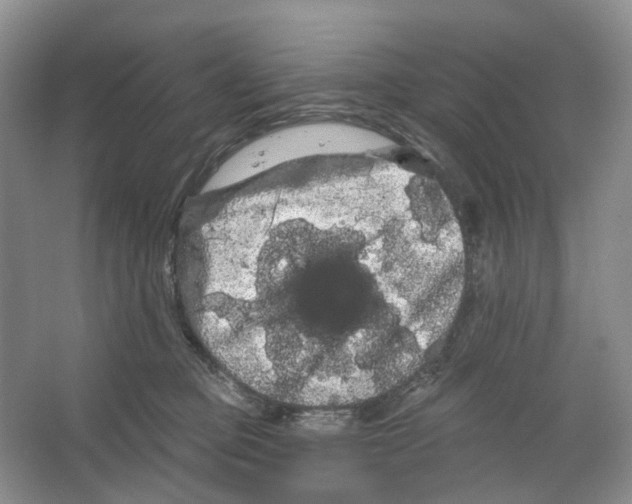 X0000066120373200603311542