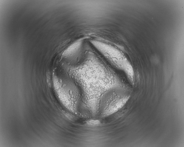 X0000066120374200603311542