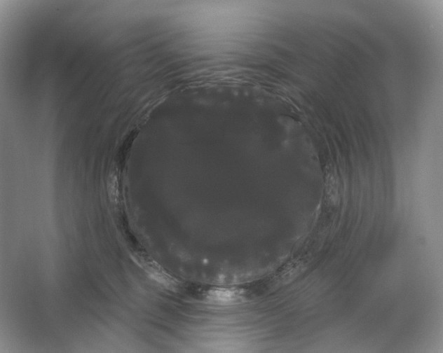 X0000066120375200603311542