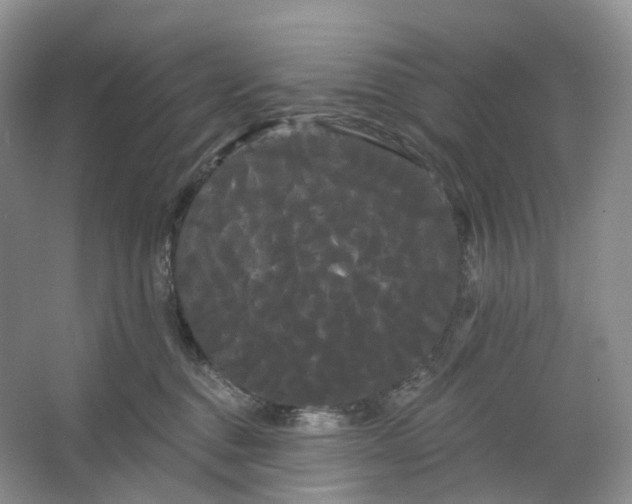 X0000066120376200603311542