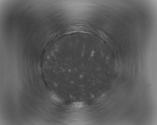 X0000066120377200603311542