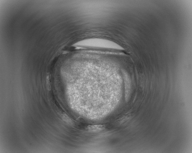 X0000066120378200603311542