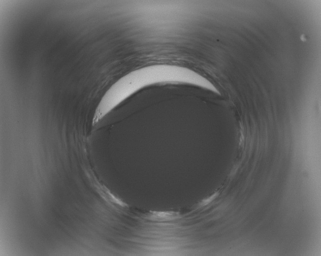 X0000066120380200603311542