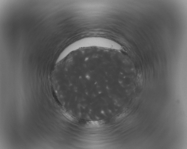 X0000066120381200603311542