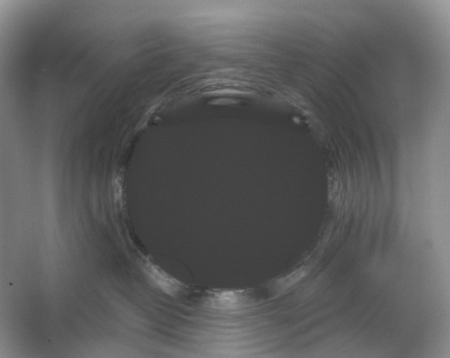 X0000066120382200603311542