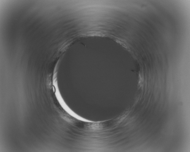 X0000066120383200603311542