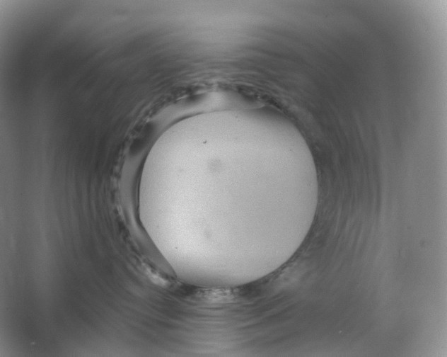 X0000066120384200603311542