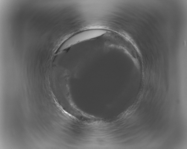 X0000066120385200603311541