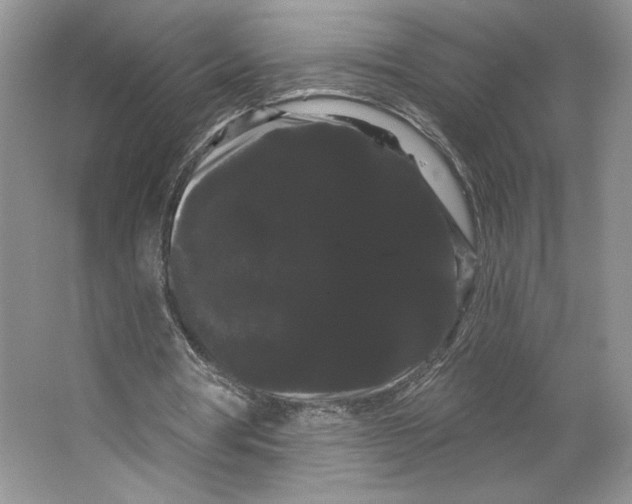 X0000066120386200603311541