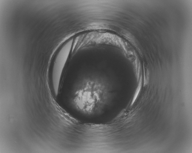 X0000066120387200603311541