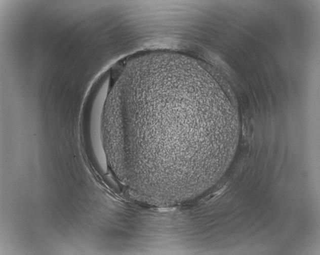 X0000066120388200603311541