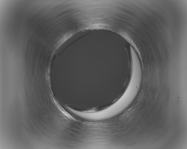 X0000066120389200603311541