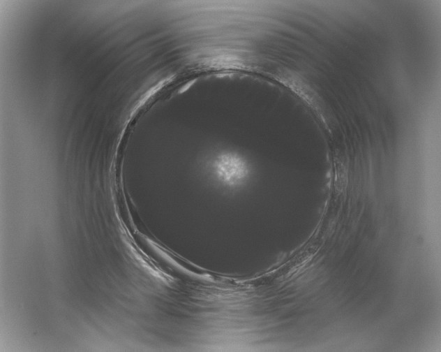 X0000066120390200603311541