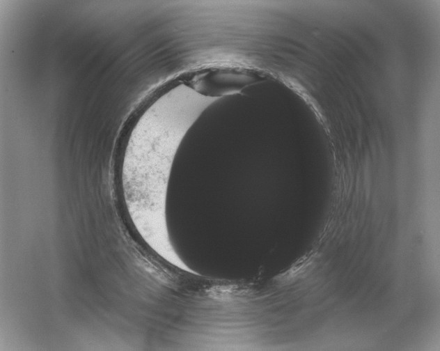 X0000066120391200603311541