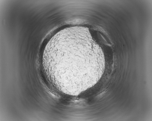 X0000066120392200603311541