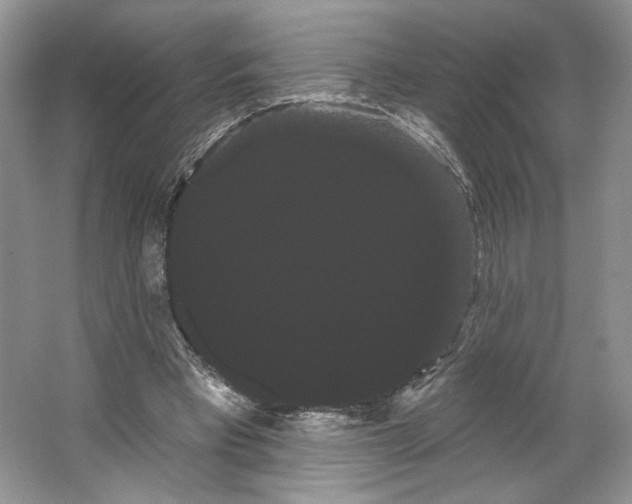 X0000066120393200603311541