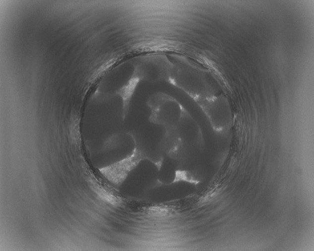 X0000066120394200603311541